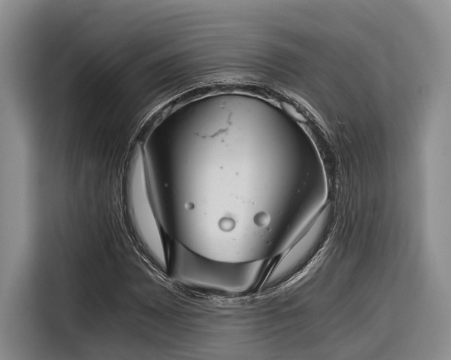 X0000116641065200912141231