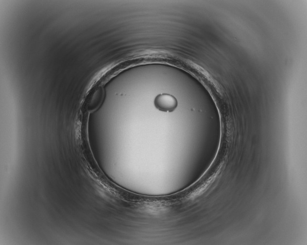 X0000116641066200912141231