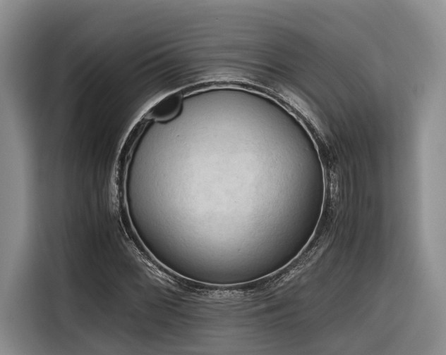 X0000116641068200912141231