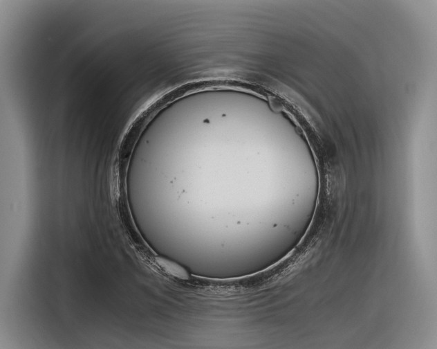 X0000116641069200912141231