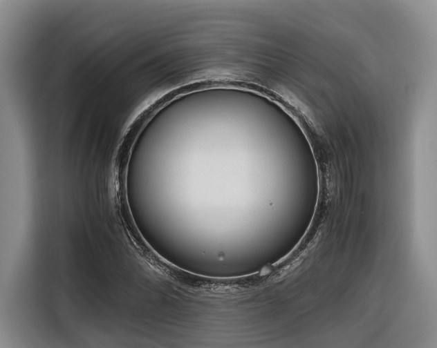 X0000116641070200912141231