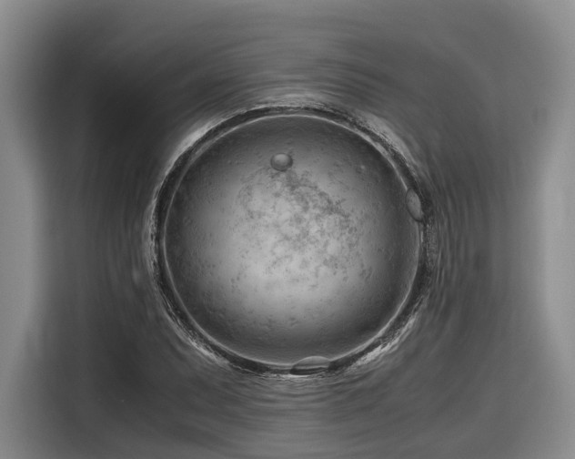 X0000116641071200912141231