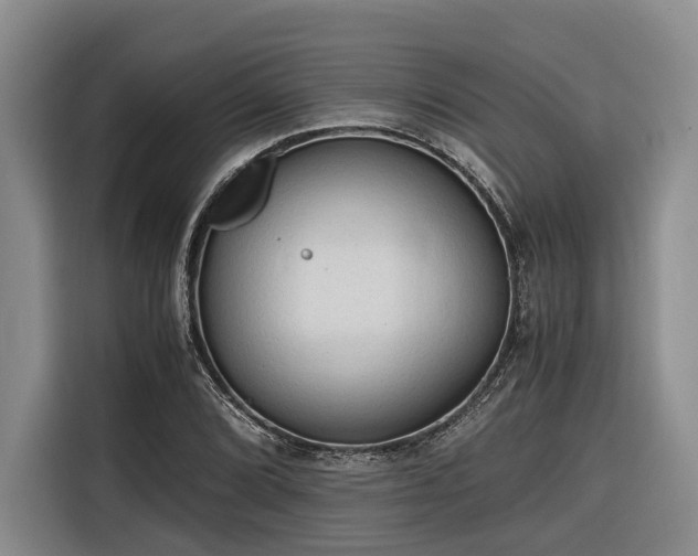 X0000116641072200912141231