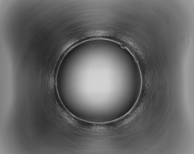 X0000116641073200912141231