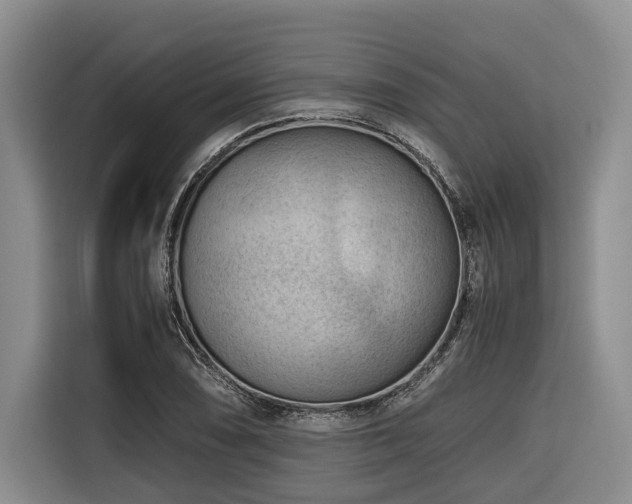 X0000116641074200912141231