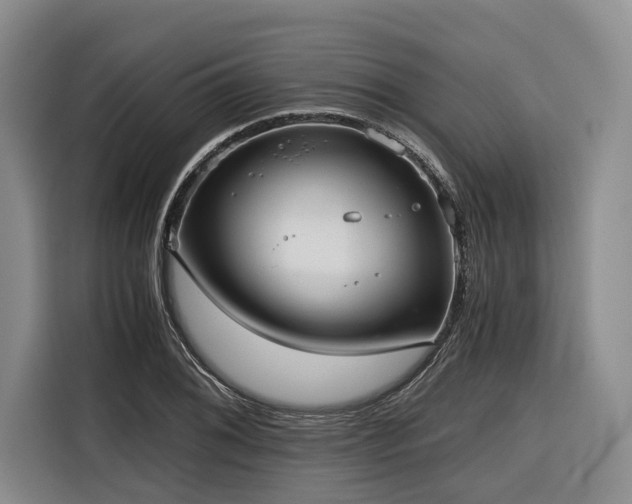 X0000116641076200912141231