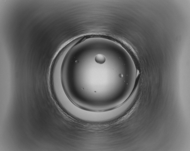 X0000116641077200912141231