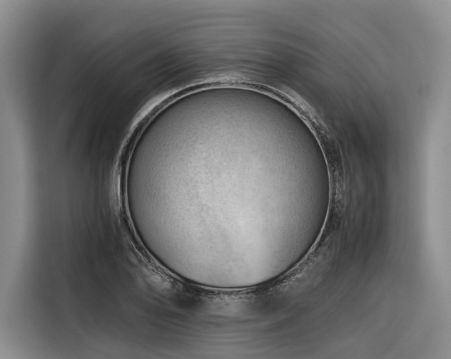 X0000116641078200912141231