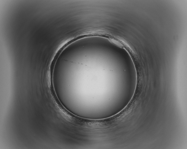 X0000116641079200912141231