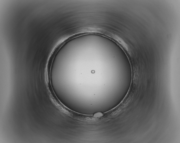 X0000116641080200912141231