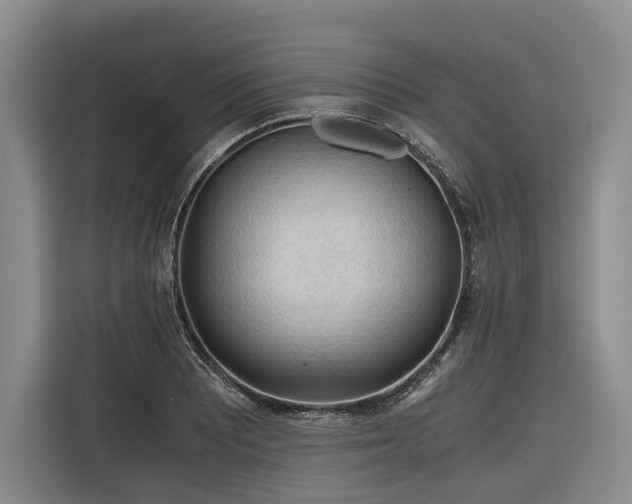 X0000116641081200912141231