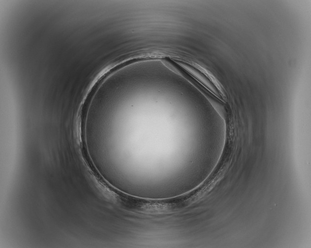 X0000116641083200912141230