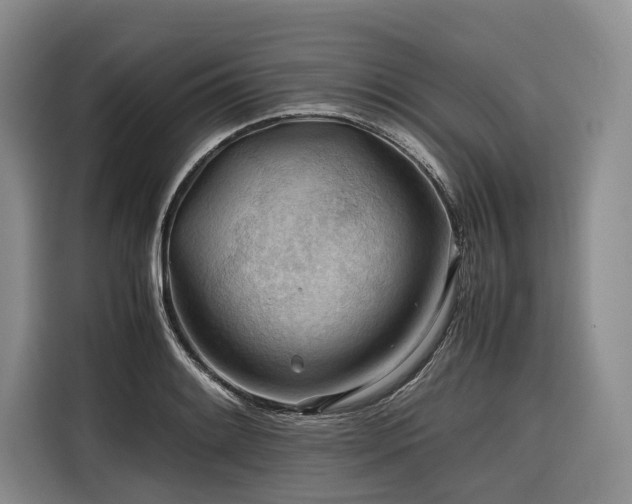 X0000116641084200912141230