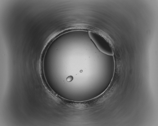 X0000116641085200912141230