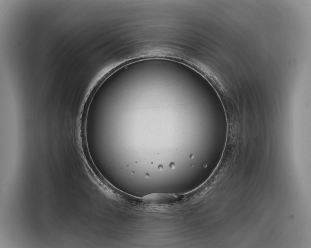 X0000116641086200912141230