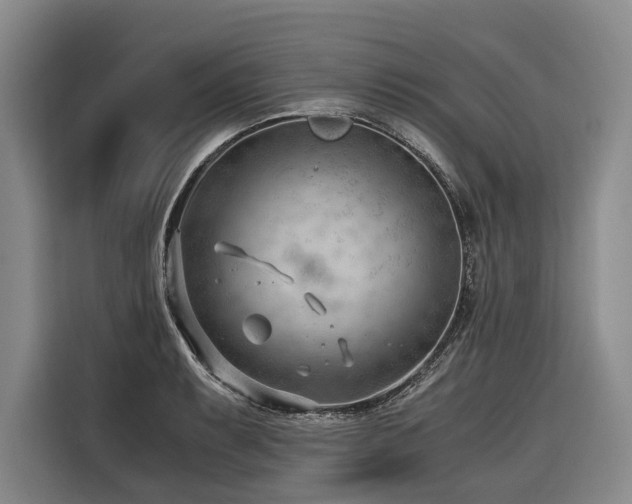 X0000116641087200912141230