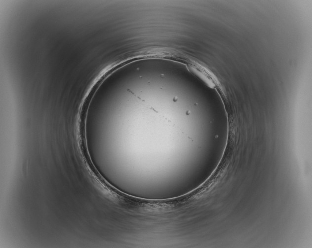 X0000116641091200912141230