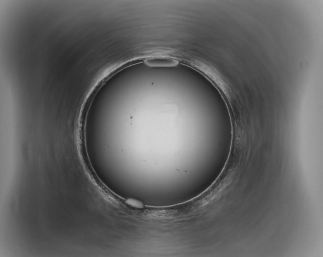 X0000116641093200912141230