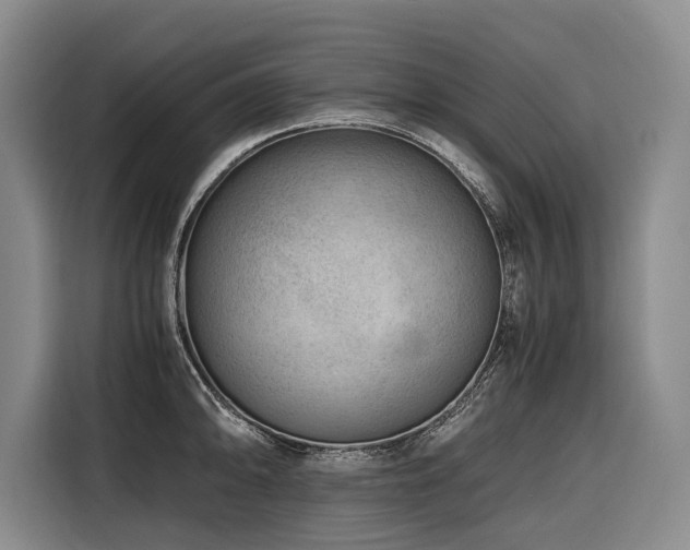 X0000116641094200912141230