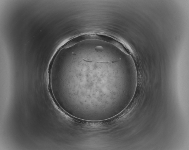 X0000116641095200912141230