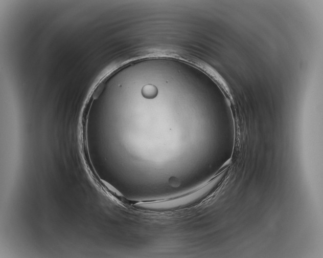 X0000116641096200912141230