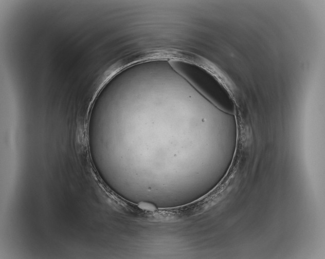 X0000116641097200912141230