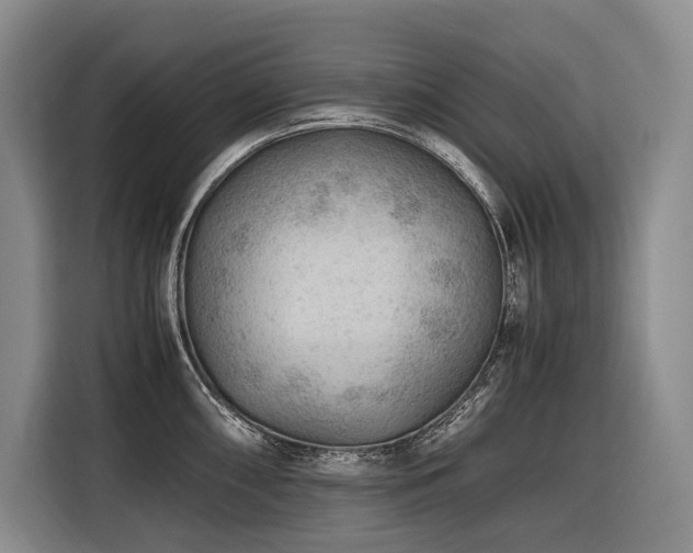 X0000116641098200912141230