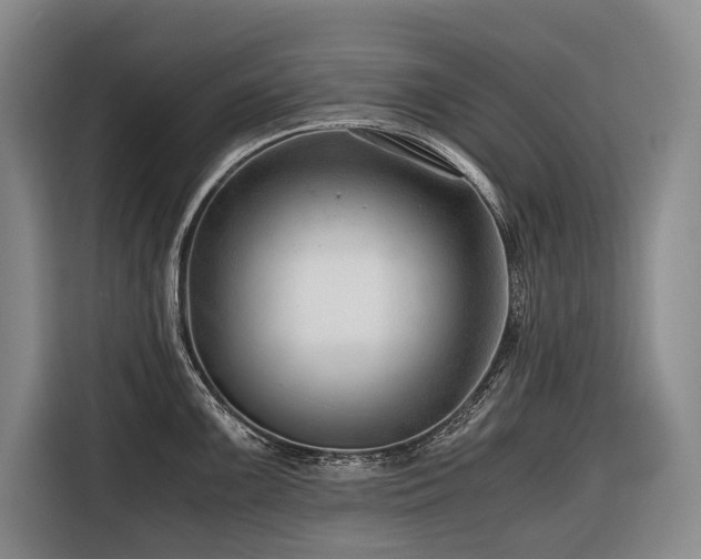 X0000116641099200912141230