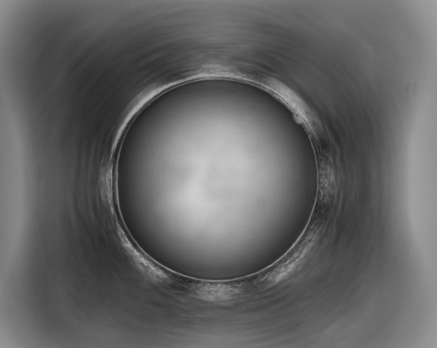 X0000116641100200912141230