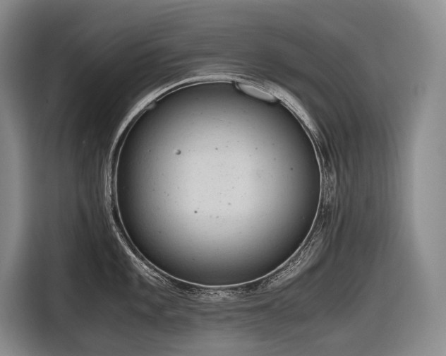 X0000116641101200912141230