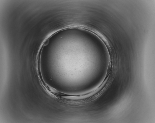 X0000116641102200912141230