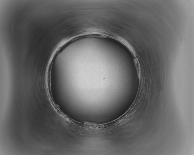 X0000116641104200912141230