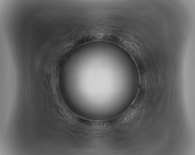 X0000116641105200912141230