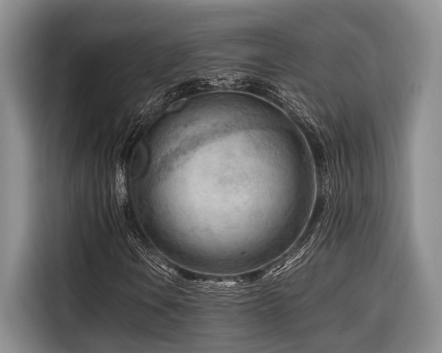 X0000116641106200912141230