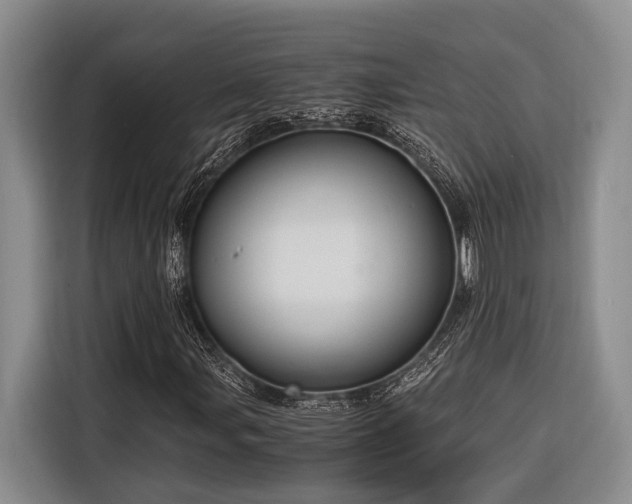 X0000116641107200912141230