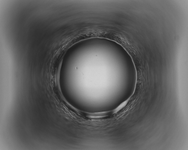 X0000116641109200912141230