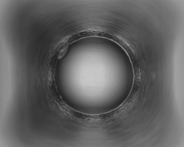 X0000116641110200912141230