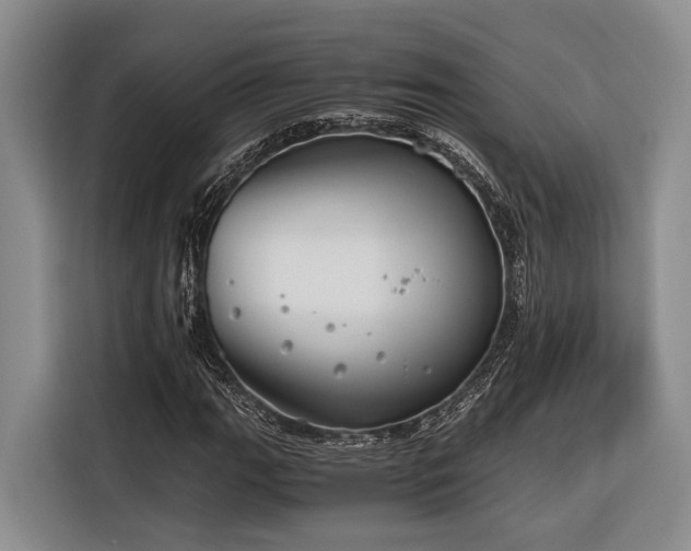 X0000116641111200912141230