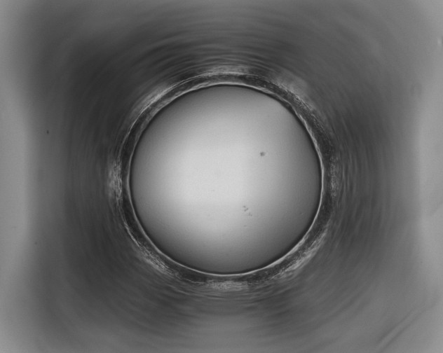 X0000116641113200912141230