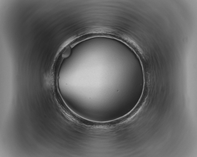 X0000116641114200912141230