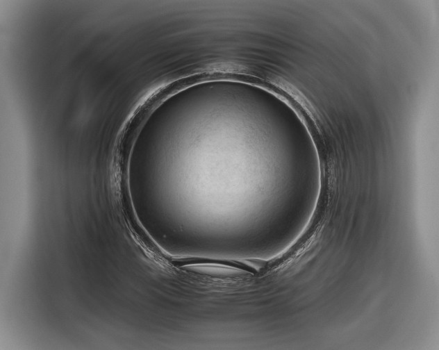 X0000116641115200912141230