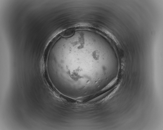 X0000116641117200912141230