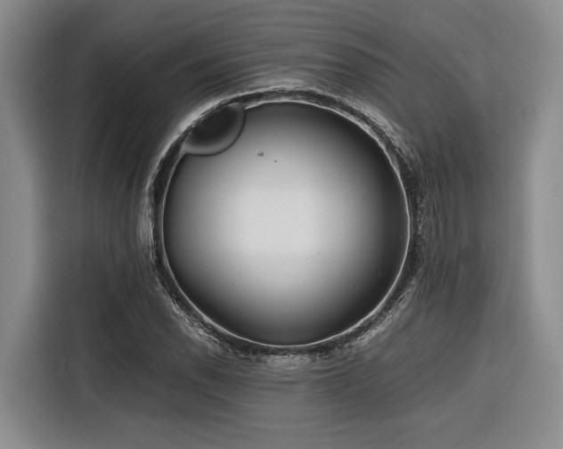 X0000116641118200912141230