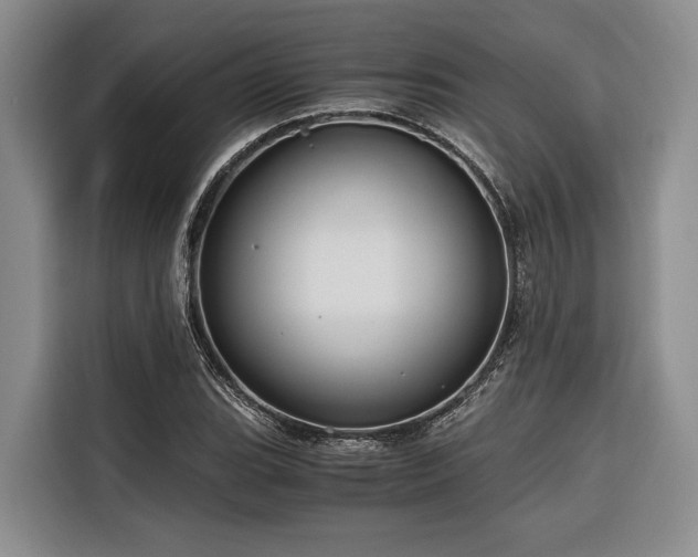 X0000116641119200912141230