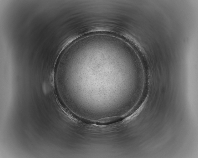 X0000116641121200912141230