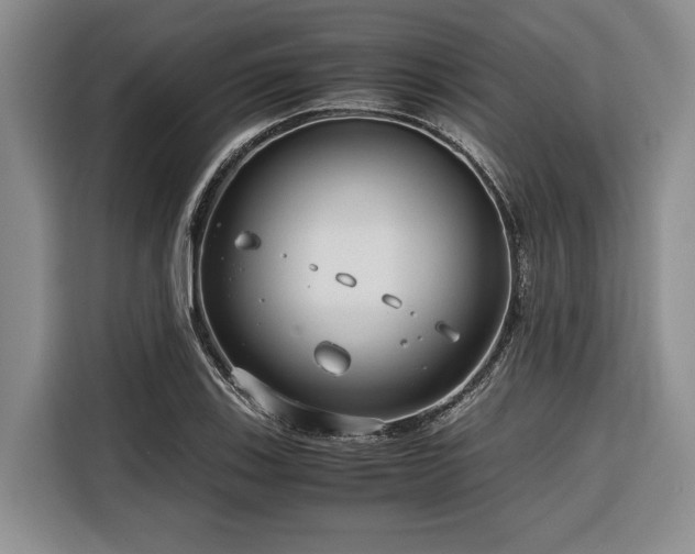 X0000116641123200912141230