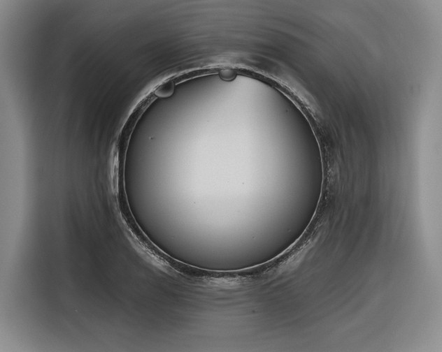 X0000116641126200912141230