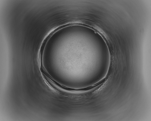 X0000116641127200912141230