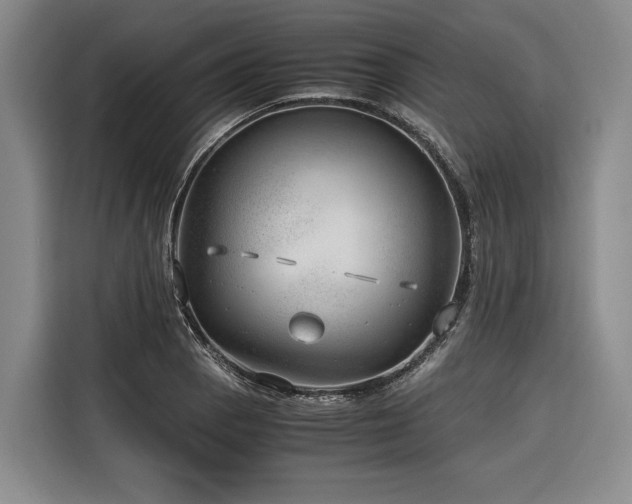 X0000116641129200912141230