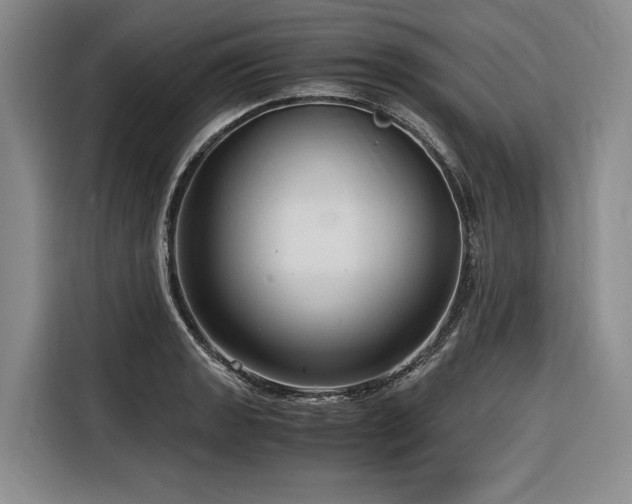 X0000116641133200912141230